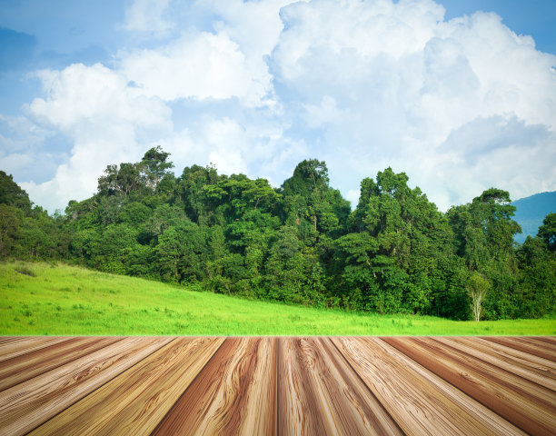 木制的空桌面与新鲜的绿色森林。图片下载