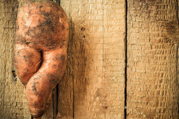 有趣的胡萝卜图片下载