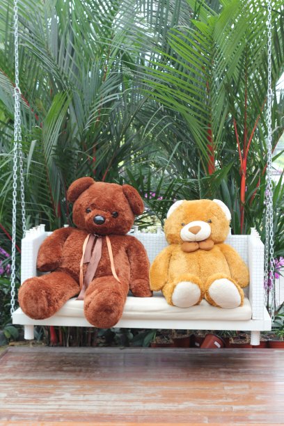 两只熊坐在秋千上图片下载