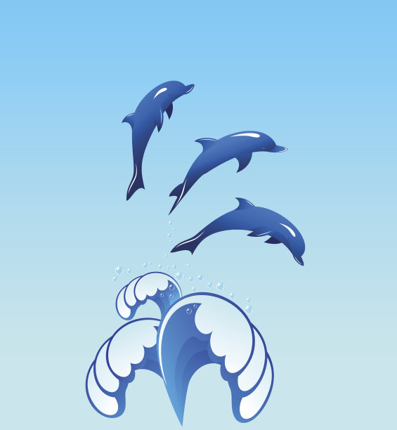 海豚02图片下载