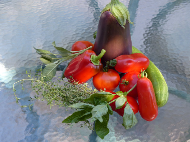 花园赏金图片下载