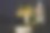 新奥尔良，路易斯安那州奥杜邦公园图片下载