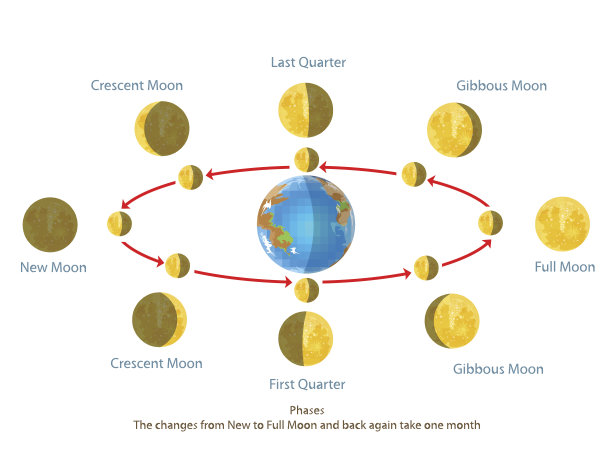 从新月到满月的变化图片下载