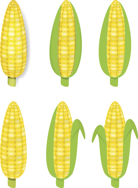 扁平风格的黄色玉米图片下载