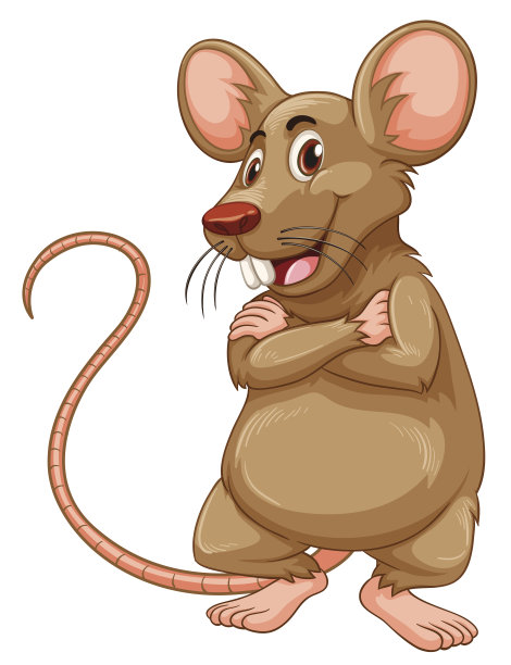 棕色皮毛的老鼠图片下载