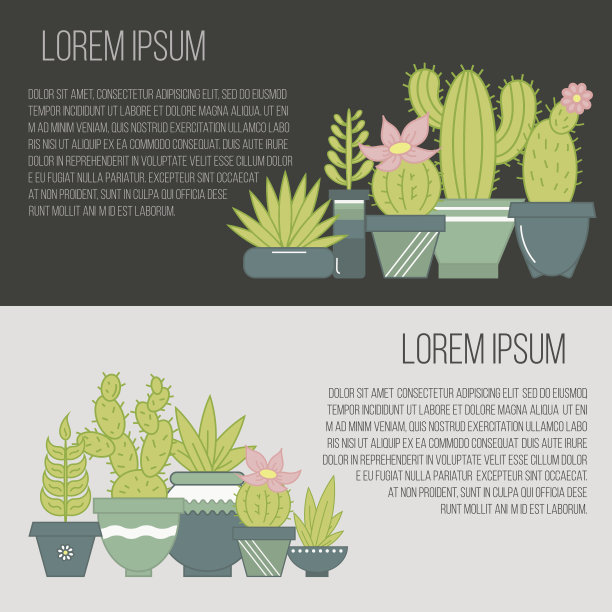 矢量平面横幅多肉植物和仙人掌在花盆。图片下载