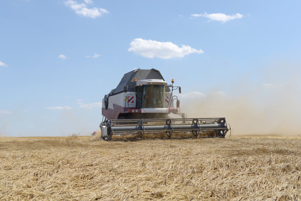 结合收割小麦。图片下载