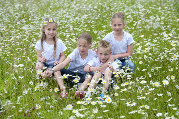 孩子们坐在雏菊之间的草地上图片下载