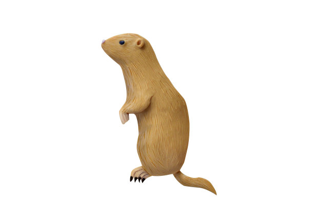 草原土拨鼠图片下载