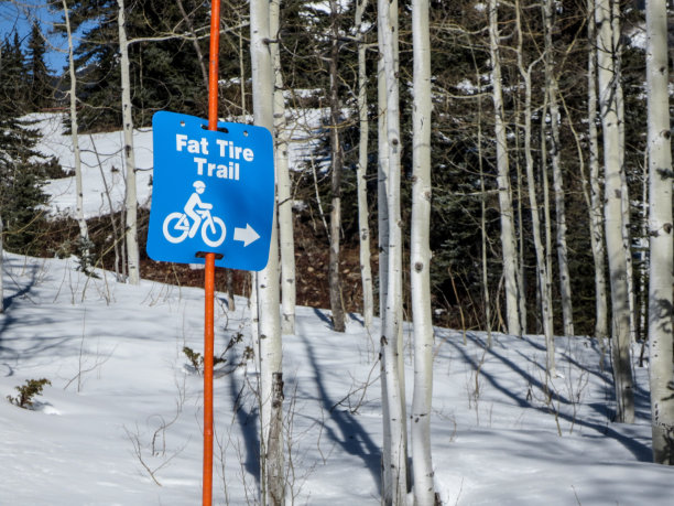 胖轮胎自行车道图片下载