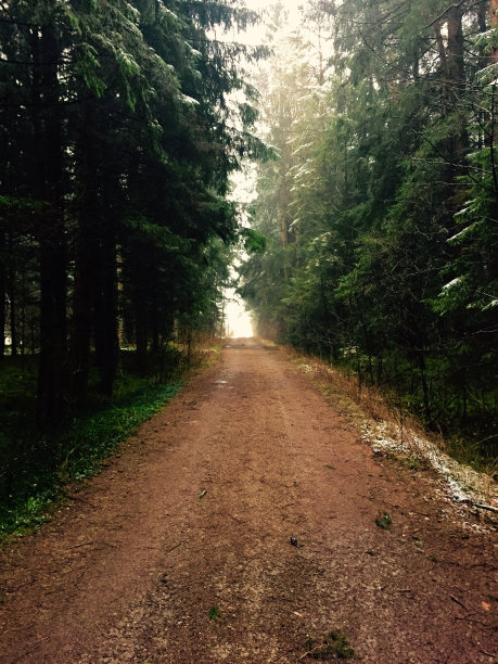 的方式图片下载