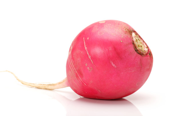 在白色背景上分离的新鲜甜菜根图片下载