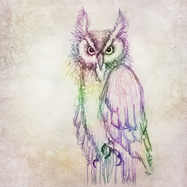 猫头鹰插图在棕色的纸背景图片下载