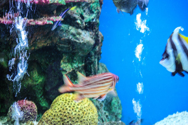 粉蓝色的图片下载