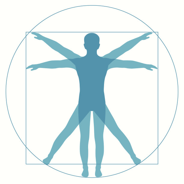 维特鲁维安人素材图片