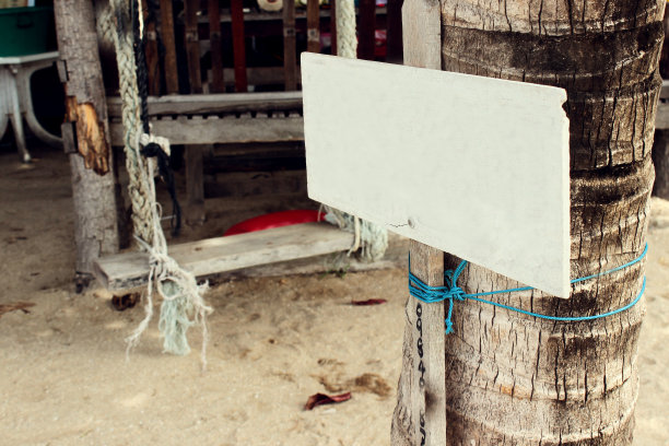 棕榈树上的空标志图片下载