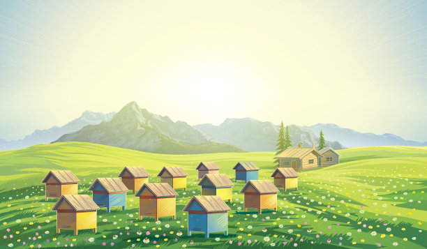 养蜂场素材图片