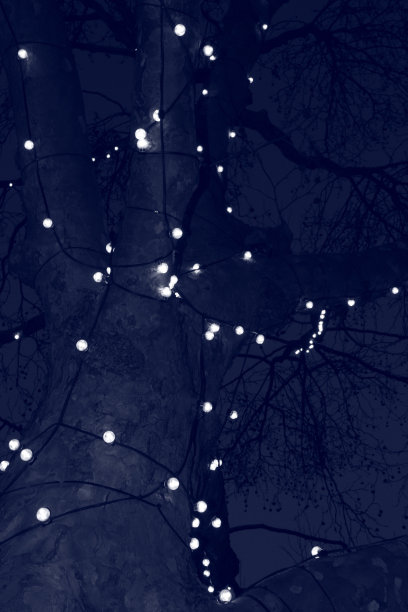 蓝色脉络图片下载