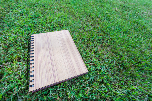 胶合板的笔记本图片下载