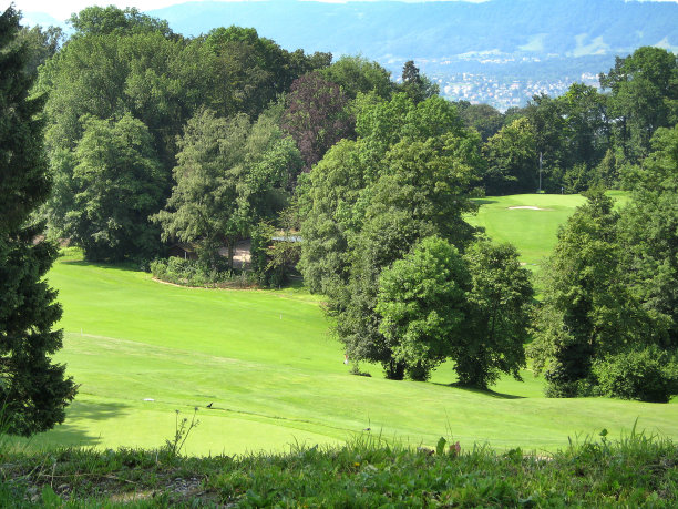 山谷中的绿色公园图片下载