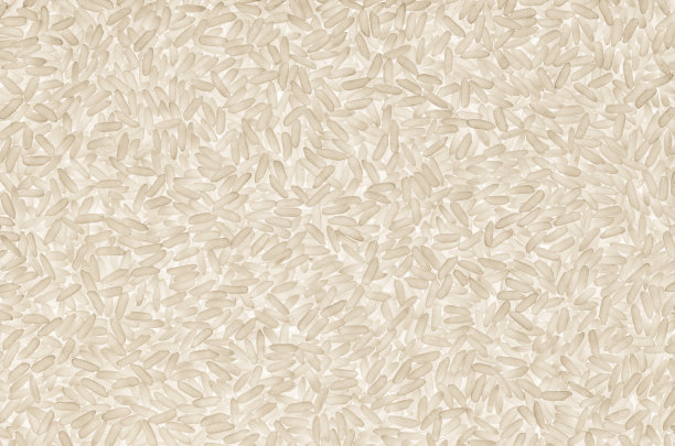 摘要米粒结构图片下载