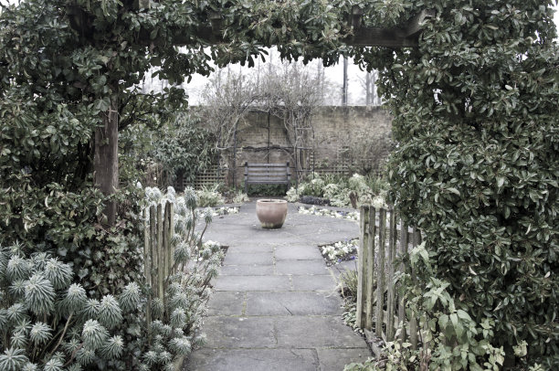 冬天的碧桂园图片下载