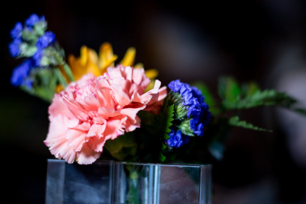 花瓶里的粉红花图片下载