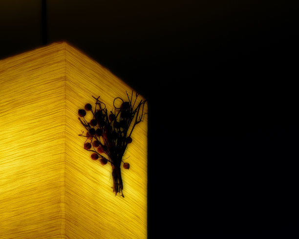 中国的灯图片下载