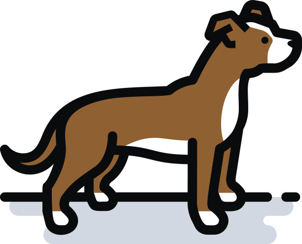 棕白比特犬图片下载