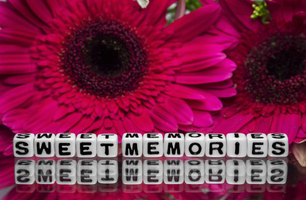 甜蜜的记忆短信与鲜花图片下载