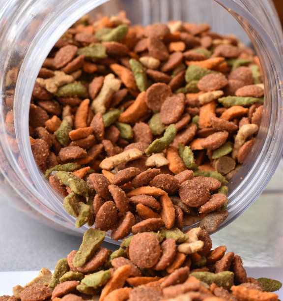 狗粮装在塑料瓶里，狗粮从罐里倒出来。图片下载