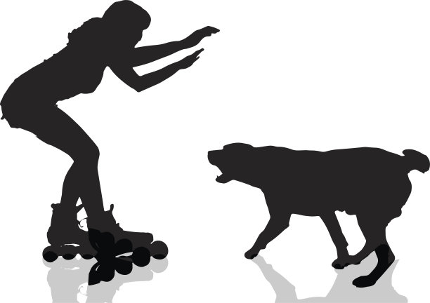 向量轮廓。图片下载