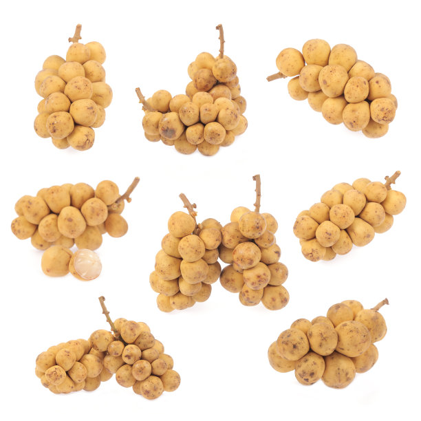 组伍伦贡图片下载