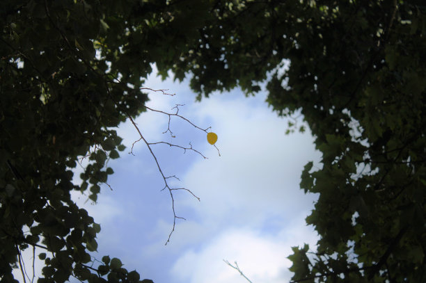 命悬一线图片下载