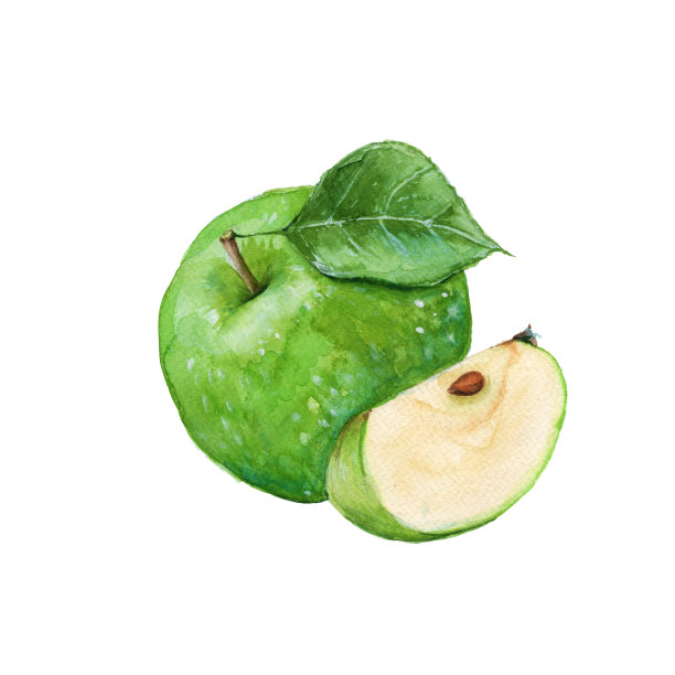 水彩青苹果插画素材图片