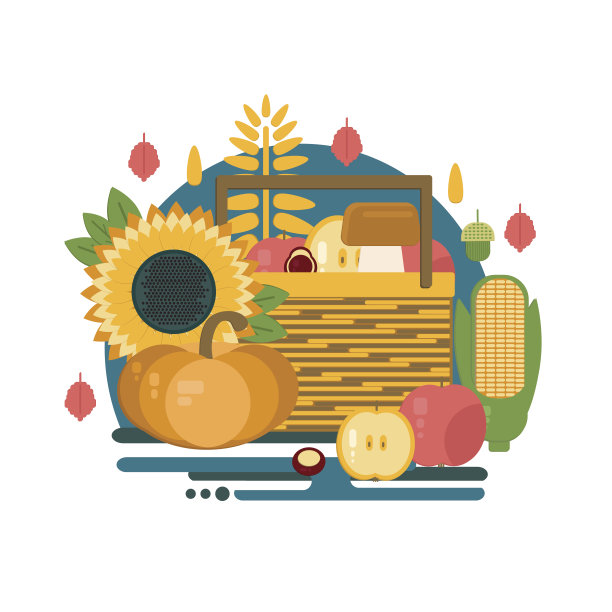 装着秋天水果和蔬菜的木箱图片下载