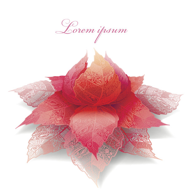 抽象的程式化的花。骨架片。图片下载