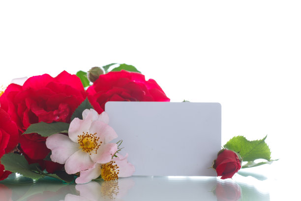 一束美丽的红玫瑰图片下载