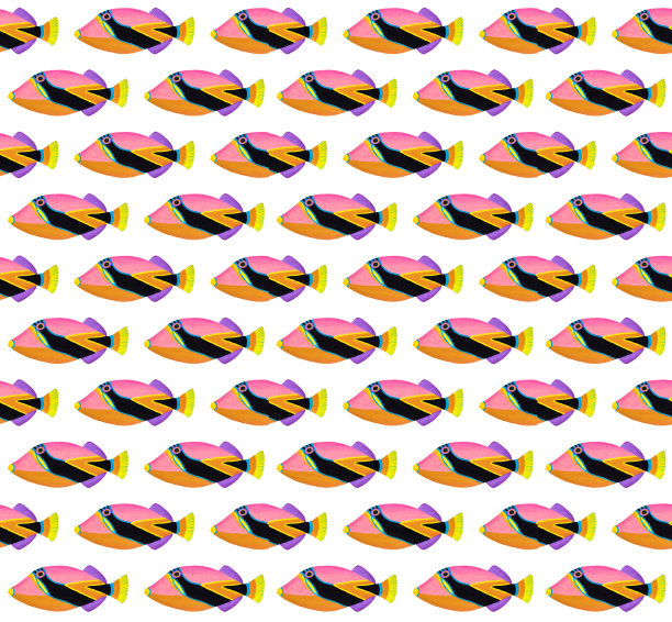 楔形尾巴触发鱼图案图片下载