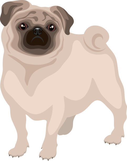 小哈巴狗图片下载