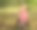 坐在树林里看拷贝空间的快乐年轻女孩图片下载