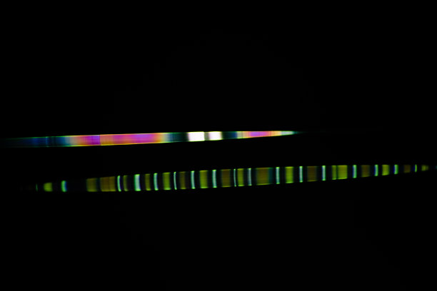 阳光下的蜘蛛网图片下载