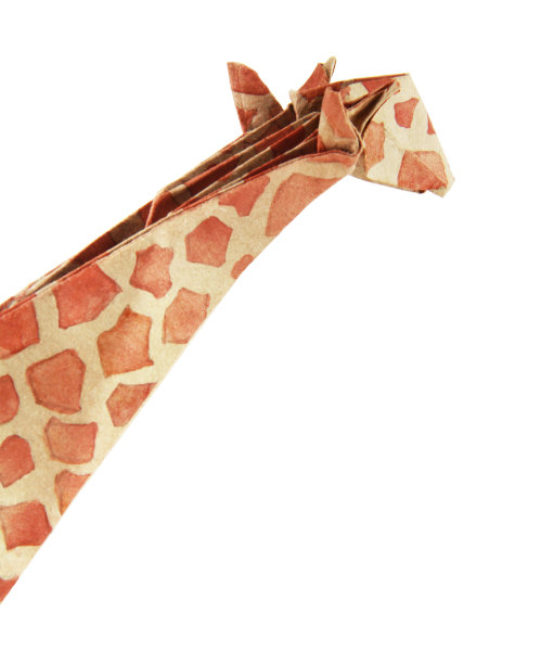 折纸纸长颈鹿图片下载