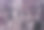 柬埔寨暹粒的巴戎，图片下载