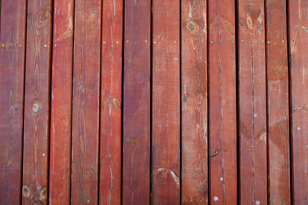 老木的背景图片下载