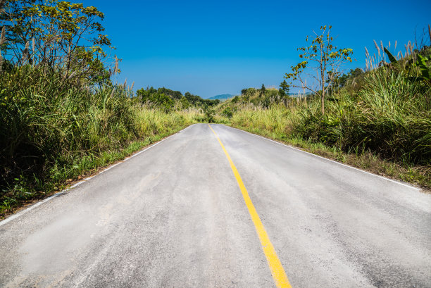 自然小径图片下载