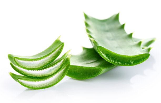 芦荟切片，孤立在白色背景上图片下载