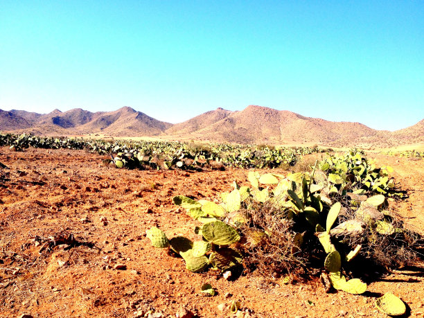 苏美尔人，祝你好运图片下载