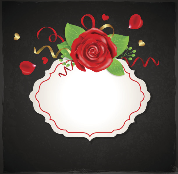 红玫瑰横幅图片下载