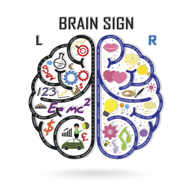 创造性的左脑和右脑想法概念图片下载